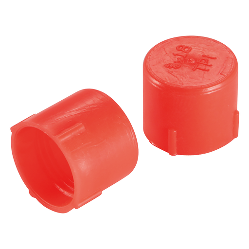 1/4' Bsp Female Plastic Cap